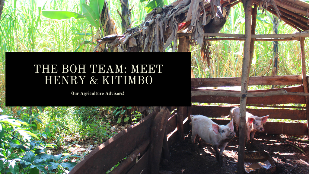The BOH Team: Meet Henry & Kitimbo!