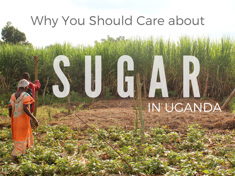 Why You Should Care About Sugar in Uganda